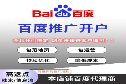 百度推广费用的投入与市场占有率提升的关联案例